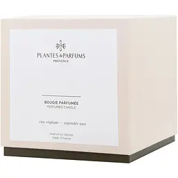 Ароматична свічка Plantes & Parfums Jardin d'Eden 1100 мл - мініатюра 2