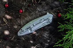 Ніж cкладний Ruike P128-SF, Сріблястий - мініатюра 9