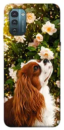 TPU чохол Demsky Flower spaniel для Nokia G21