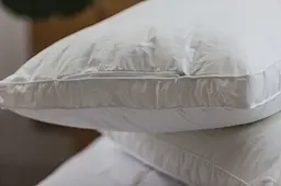 Подушка Ecotton 50х70 см Ecofill Premium антиалергенна з кантом біопух біла в чохлі для зберігання White (25070) - мініатюра 4