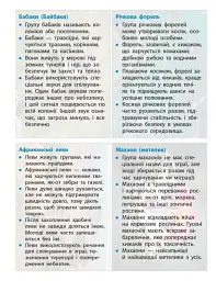 STEM-Старт. Наука про життя. Робочий зошит. 4 клас - Ірина Потапенко - мініатюра 15