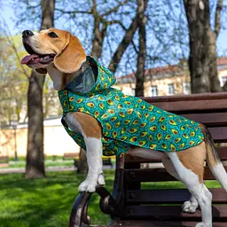 Дощовик для собак з капюшоном Barksi Textile розмір XXS Авокадо - мініатюра 5