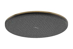 Верхній душ Hansgrohe Raindance Alive S 300 1jet EcoSmart brushed bronze 24521140