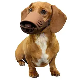 Намордник для собак Artero Dog Muzzle L коричневий P348 - мініатюра 6
