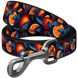 Повідок для собак WAUDOG Nylon "Апельсини" S, Ш 15 мм, Д 200 см (760-4054)