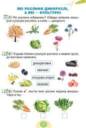 Я досліджую світ 1 клас. Зошит-практикум. Частина 2 - Світлана Тарнавська - мініатюра 4