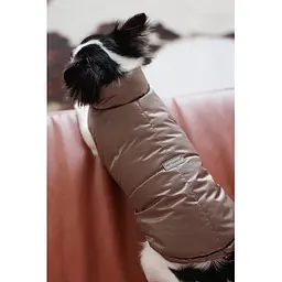 Жилет Pet Fashion Hardy для собак розмір M2 - мініатюра 5