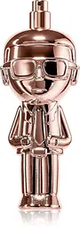 Парфюмерная вода Karl Lagerfeld Ikonik For Women 100 мл