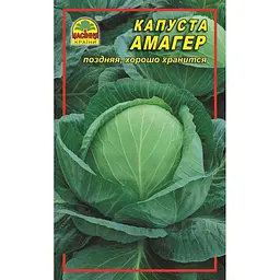 Насіння капусти Амагер 0.5 кг - мініатюра 2