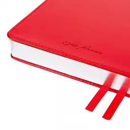 Щоденник діловий Leo Planner 2027 Aldento інтегральний А5 368 сторінок червоний (252731) - мініатюра 18