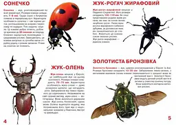 Велика книга Кристал Бук Жуки (F00018115) - мініатюра 2