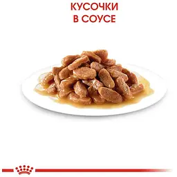 Набір вологого корму для кошенят Royal Canin Kitten Instinctive шматочки в соусі 1.02 кг (12 шт. х 85 г) - мініатюра 4