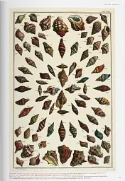Seba. Cabinet of Natural Curiosities - мініатюра 8