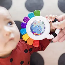 Іграшка-брязкальце Baby Einstein Outstanding Opus (12487) - мініатюра 12