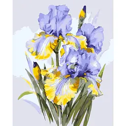 Картина за номерами Букет ірисів LW31600, 40х50 см