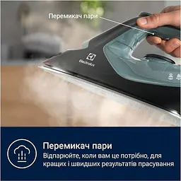 Праска з парою Electrolux E7SI2-6OG - мініатюра 5
