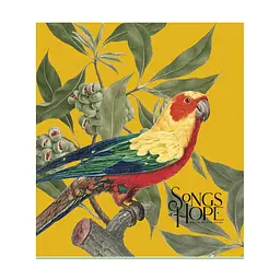 Зошит Школярик Birds 60 аркушів клітинка (060-3410K), в асортименті - мініатюра 4
