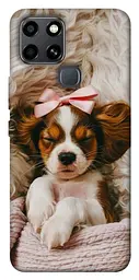 TPU чохол Demsky Sleepy spaniel для Infinix Smart 6