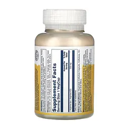 Амінокислота Solaray L-Arginine Free Form 500 мг 100 капс - мініатюра 2