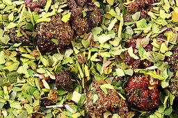 Йерба Мате Green TUTTI FRUTTI - 50 г - мініатюра 6