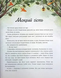 Книга Читариум Дуб трьох лісовиків. Г. Ткачук українською мовою kni0003285 - мініатюра 2