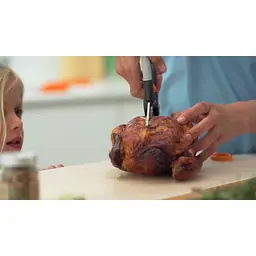 Ножиці Fiskars Form для птиці з ручками Softouch 250 мм (1003033) - мініатюра 3