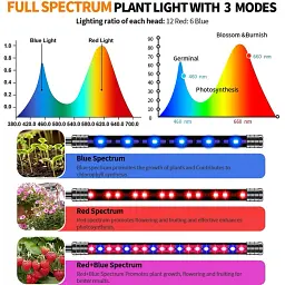 Фітолампа Led Plant Grow Leight USB на 6 ламп (гнучка) з таймером - мініатюра 2