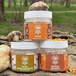 Курс Лісовик Focus Flow Концентрація та продуктивність на 1 місяць 180 капсул - мініатюра 5