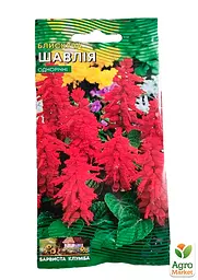 Сальвія блискуча Весна 0.1г (13069) - мініатюра 2
