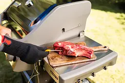 Гриль газовий Weber Spirit II E-310 GBS чорний (45010175) - мініатюра 13