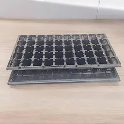 Касета для розсади 44×20,5×5,5 см, пластикова, з піддоном, 50 V-осередків (50 см³)