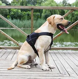 Шлея для собак Harness, тактичний жилет з ручкою, Чорний, L - мініатюра 2