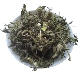 Чортополох Трава Осотій Кольковник Будяк Бодяк Carduus acanthoides - мініатюра 1