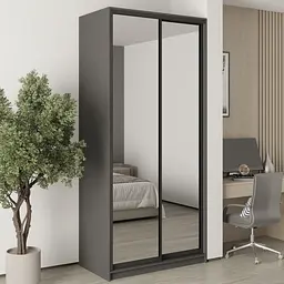 Шафа-купе дводверна MebelStar Стандарт BG 2 Дзеркала 110x60x240 см Антрацит (MBS-10364)