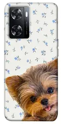 TPU чохол Demsky Cute Yorkie для Oppo A57s