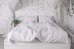 Простирадло Ecotton двоспальна Євро 210х220 см Бязь рис.20-0256 White біле (5393)