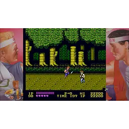 Ключ активації Microsoft Double Dragon для Xbox One/Series - мініатюра 2