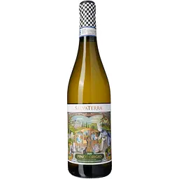Вино SalvaTerra Pinot Grigio delle Venezie DOC біле сухе 13% 0.75 л