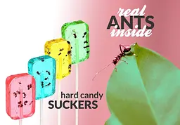 Льодяник із комахою Hotlix Ant Insect Hard Candy Sucker 1шт, 28г - мініатюра 3