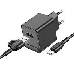 Адаптер мережевий BOROFONE Type-C cable Erudite single port charger BAS11A |1USB, 2.1A/10.5W|