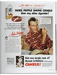 All-American Ads of the 50s - мініатюра 3