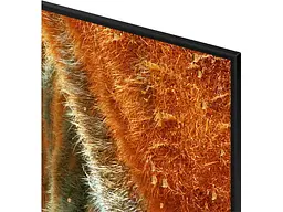 Телевізор Samsung QE75QN70F - мініатюра 4