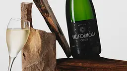Вино ігристе Vallformosa Origen Cava Reserva Brut біле брют 0.75 л - мініатюра 2
