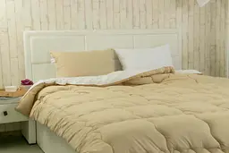 Набір Руно ковдра 140х205 + подушка 50х70 силіконова "Бежева" К_924.52СЛ300_Бежевий - мініатюра 7