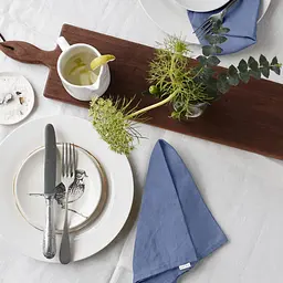 Набір серветок Cosas Nightfall 2 шт. 30х30 см синій (Set-2Serviette_RanforsDarkBlue_30) - мініатюра 3