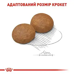Сухий корм для собак великих порід старше 5 років Royal Canin Maxi Adult 5+, 15 кг (3008150) - мініатюра 3