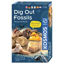 Розкопка скам'янілостей Dig Out Fossils Kosmos - Набір для дослідження (617226)