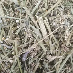 100 г буркун трава сушена  - свіжий урожай