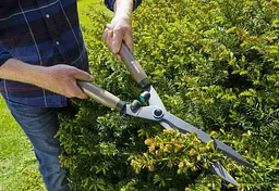 Комплект ножиць Gardena NatureCut для живоплоту (12300-30.000.00) - мініатюра 5