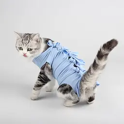 Одяг для котів після операції Holley Bow-knots Blue M - мініатюра 4